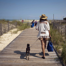 Aktuelle Bilder zur Ölpest 4.7.2010