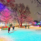 Wiener Eistraum 2017: Eindrücke