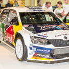 Pressegespraech Vienna Autoshow 2017 - Messe Wien - 11_01_2017 _29 von 109_.jpg
