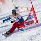 20170111_fmt_SnowboardWeltcupTeambewerb_pp10.jpg