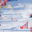 20170111_fmt_SnowboardWeltcupTeambewerb_pp15.jpg