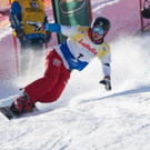 20170111_fmt_SnowboardWeltcupTeambewerb_pp24.jpg
