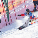 20170111_fmt_SnowboardWeltcupTeambewerb_pp25.jpg