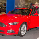 Pressegespraech Vienna Autoshow 2017 - Messe Wien - 11_01_2017 _61 von 109_.jpg