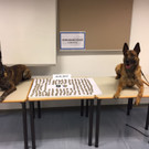 Schlag gegen Drogenhandel in Ottakring