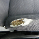 DSCN0403.JPG
