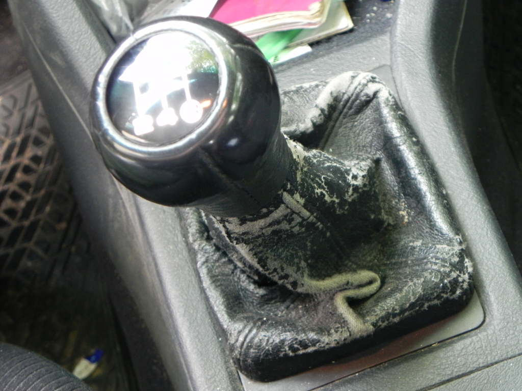 DSCN0406.JPG