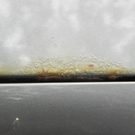 DSCN0409.JPG