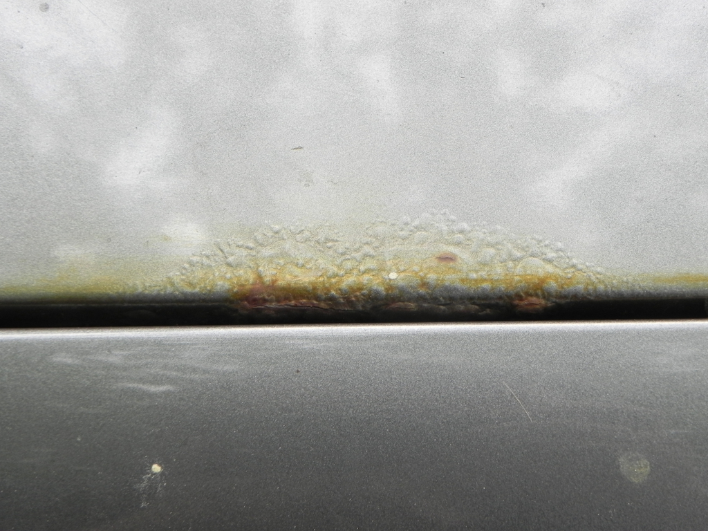 DSCN0409.JPG