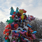 DSC_0024.JPG