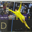 dc1-5v5b94qt9qgrerh5d4k_original.jpg