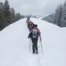 Wanderung Alpe - Almein 11 Jänner
