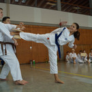 DSC06488.JPG
