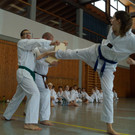 DSC06508.JPG