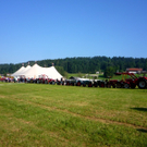 P1060874_jpg-1278179107