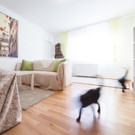 Psychotherapie Margareten copyright ROBIN CONSULT Flo Mooshammer.jpg