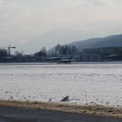 IMG_3224.JPG