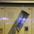 IMG_2877.JPG