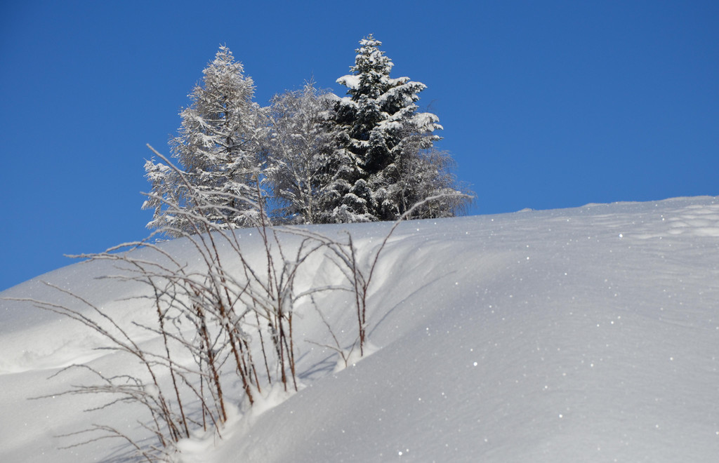 laterns 180117_14.JPG