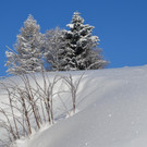 Schi Paradies Furx