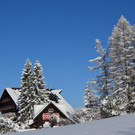 laterns 180117_16.JPG