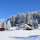 laterns 180117_17.JPG