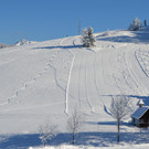 laterns 180117_24.JPG