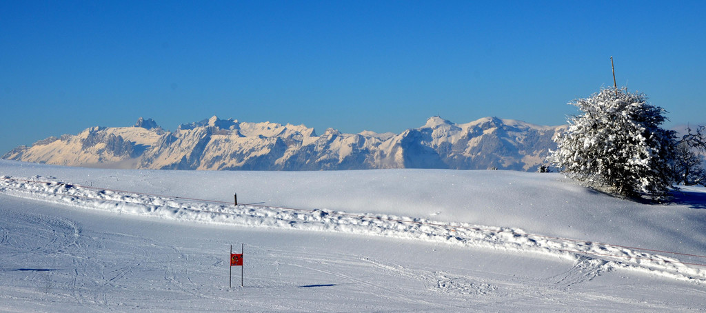 laterns 180117_28.JPG
