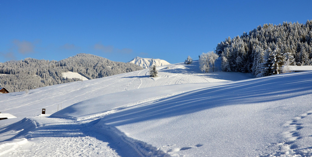laterns 180117_31.JPG