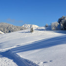 laterns 180117_31.JPG