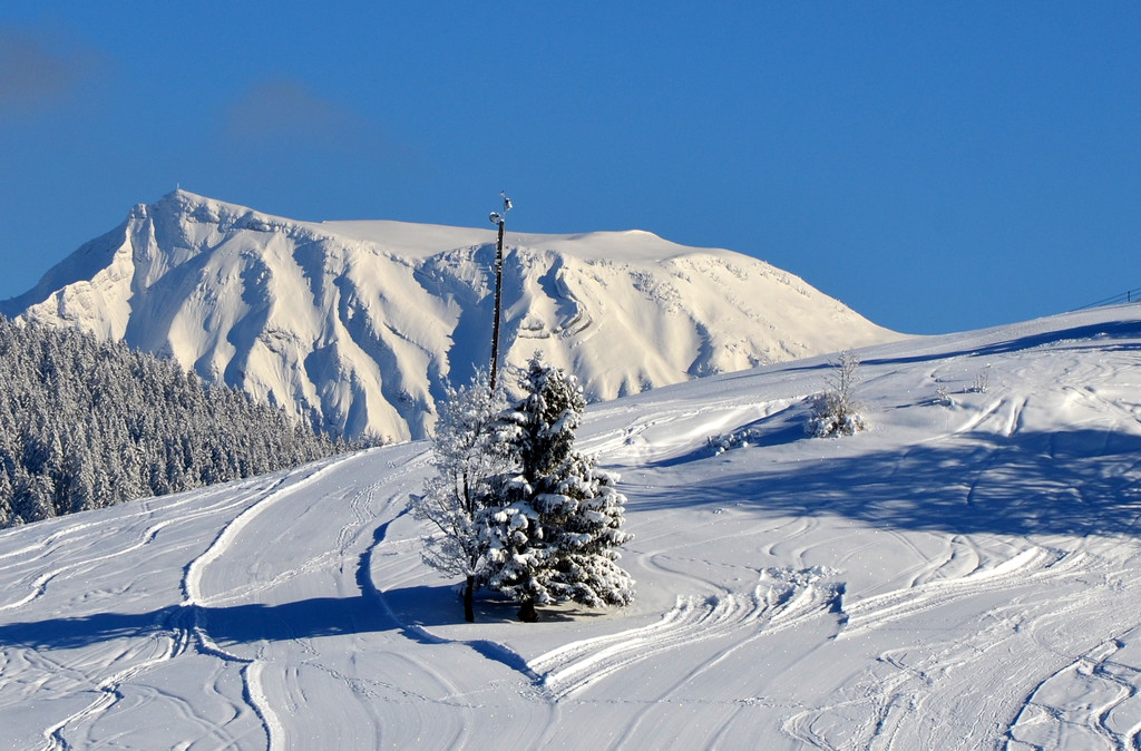 laterns 180117_33.JPG