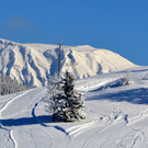 laterns 180117_33.JPG