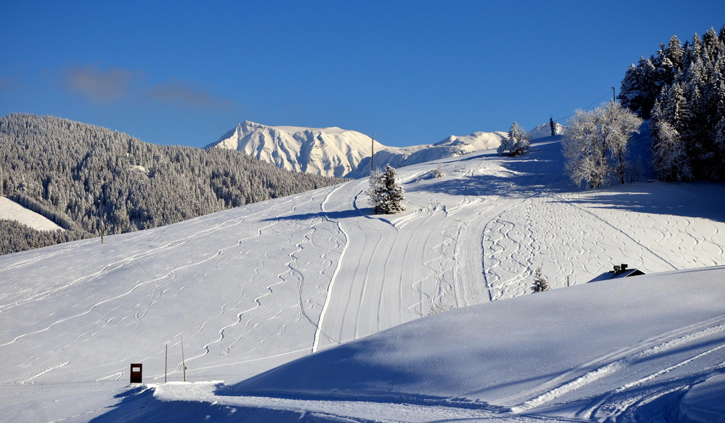 laterns 180117_34.JPG
