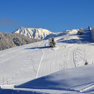 laterns 180117_34.JPG