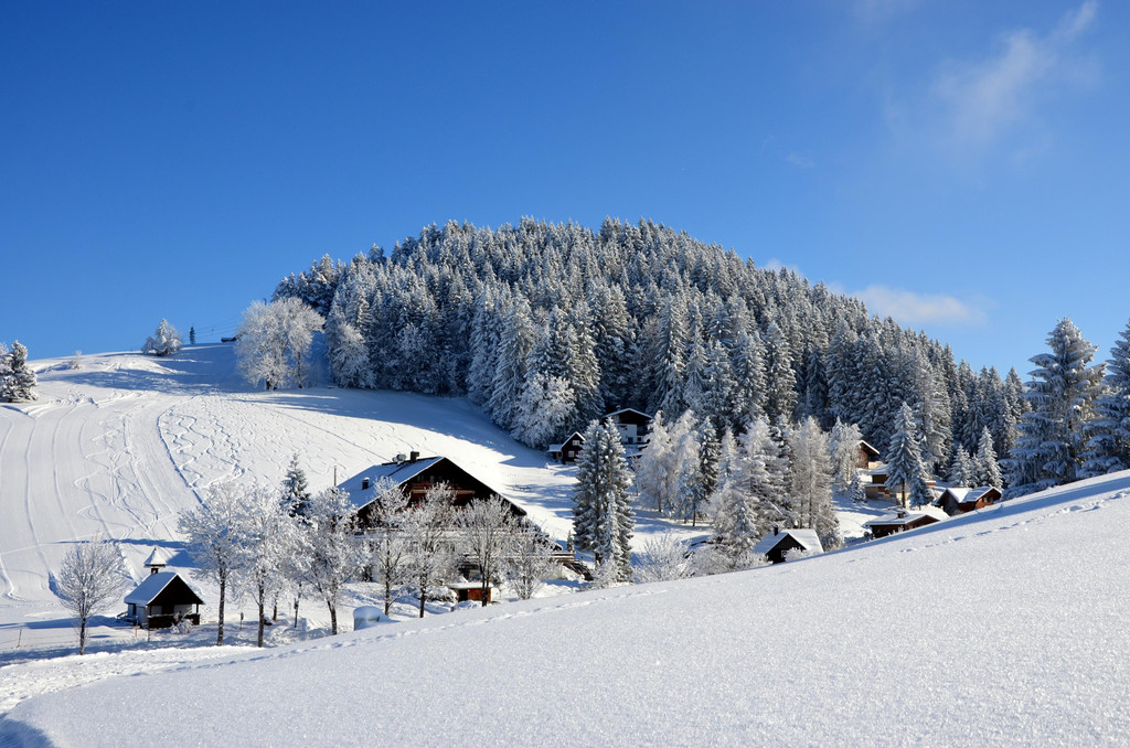 laterns 180117_35.JPG