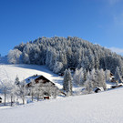 laterns 180117_35.JPG