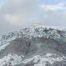 AFP_K541T.jpg