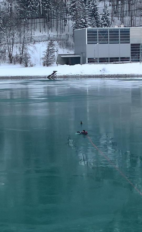 enten04.PNG