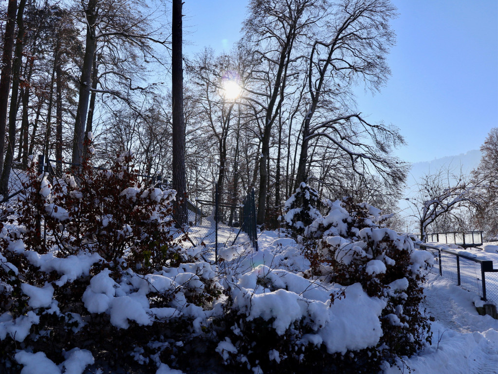 KOE_Wintermaerchen Wildpark 6.jpg