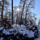 KOE_Wintermaerchen Wildpark 6.jpg