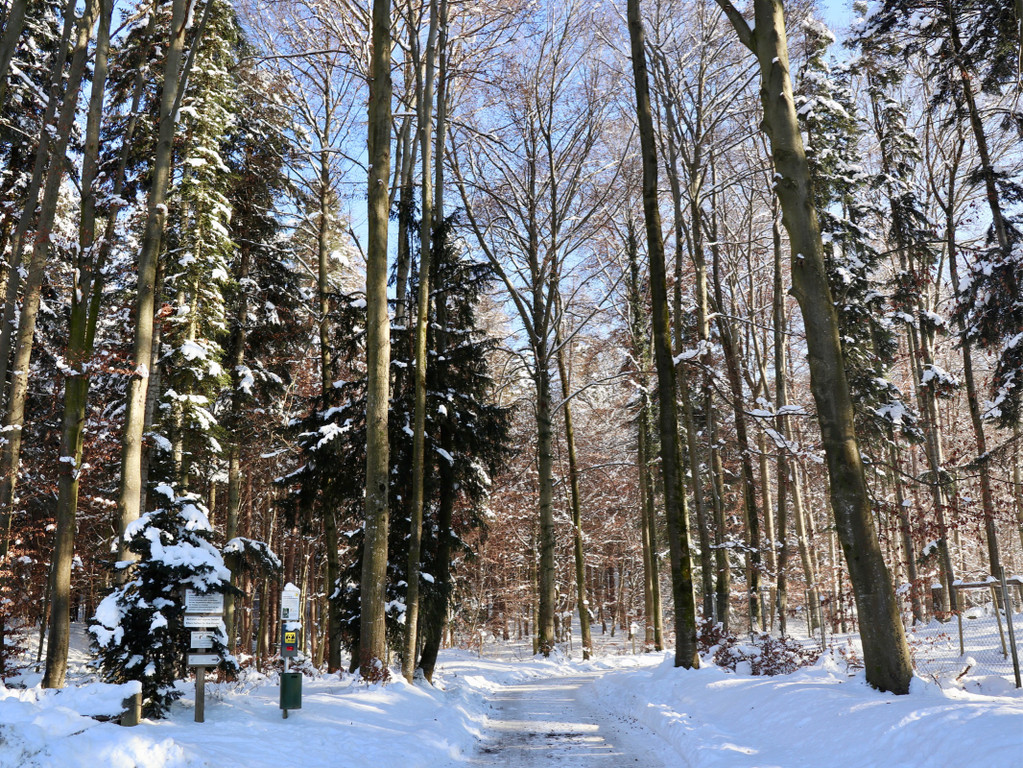 KOE_Wintermaerchen Wildpark 7.jpg