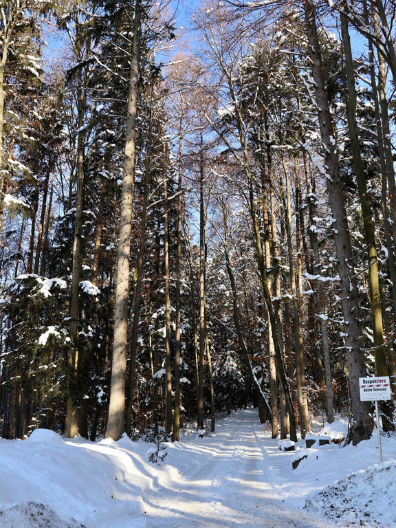 KOE_Wintermaerchen Wildpark 8.jpg