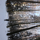 KOE_Wintermaerchen Wildpark 10.jpg