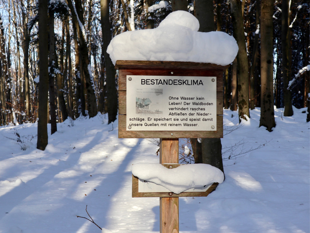 KOE_Wintermaerchen Wildpark 12.jpg