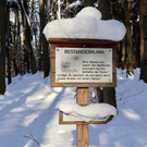 KOE_Wintermaerchen Wildpark 12.jpg