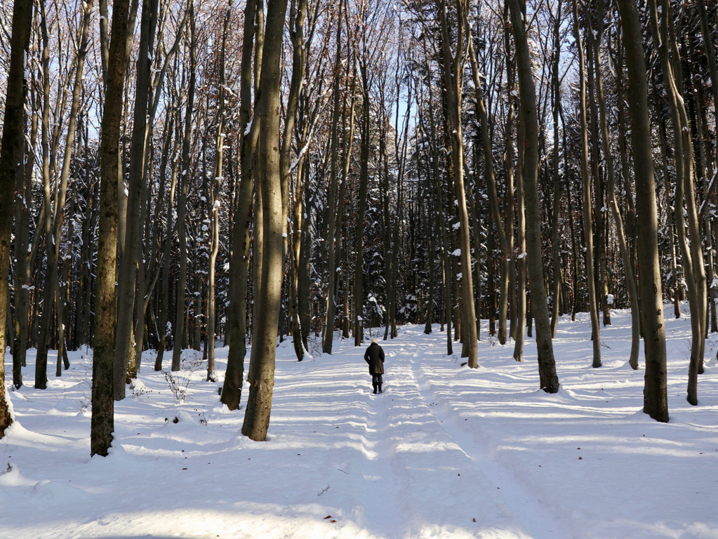 KOE_Wintermaerchen Wildpark 13.jpg