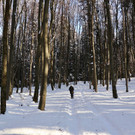 KOE_Wintermaerchen Wildpark 13.jpg