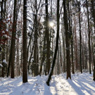 KOE_Wintermaerchen Wildpark 14.jpg