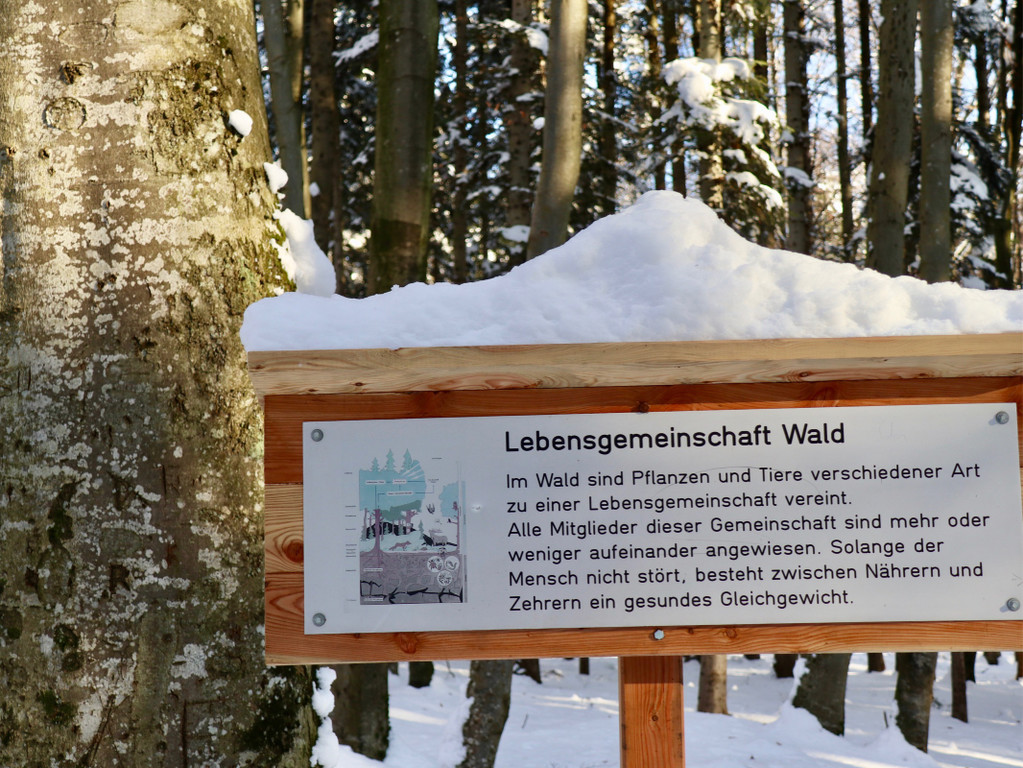 KOE_Wintermaerchen Wildpark 15.jpg
