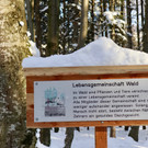 KOE_Wintermaerchen Wildpark 15.jpg
